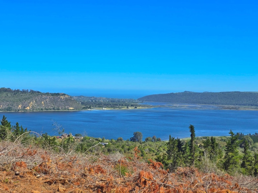 Commercial Property for Sale in Sedgefield Rural Western Cape